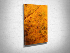 Brown Leaf Textures Canvas Print Brown Leaf Textures Canvas Print