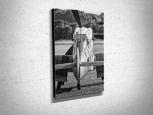 B&W BF109 Buchon Rear View Canvas Print B&W BF109 Buchon Rear View Canvas Print