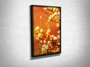 Digital Art Magnolia Blossom Canvas Print Digital Art Magnolia Blossom Canvas Print