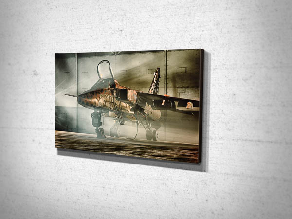 Jaguar XX119 under the spotlight canvas print Jaguar XX119 under the spotlight canvas print