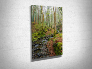 Misty Stream in a Welsh Forest Canvas Print Misty Stream in a Welsh Forest Canvas Print