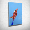 Up Close to A Red Arrow Canvas Print Up Close to A Red Arrow Canvas Print