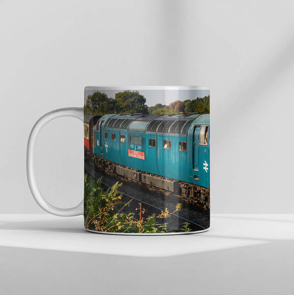 55019 Arley Mug 55019 Arley Mug