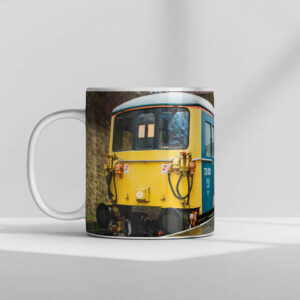 73001 Mug