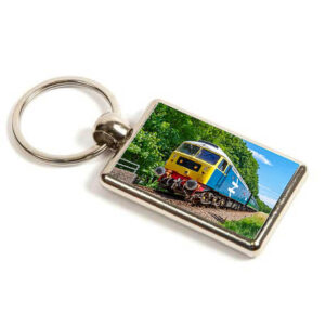 47579 in Forest Keyring Master 47579 in Forest Keyring Master
