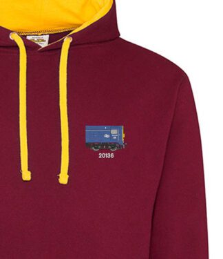 Class 20 20136 Burgundy and Gold hoodie