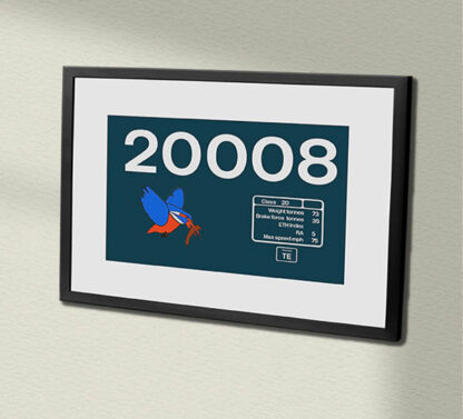 20008 Large Logo Kingfisher Clear Framed Data Panel