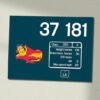 37181BR Blue Cornish Lizard Clear Data Panel Sign