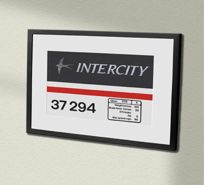 37294 Intercity Swallow Framed Data Panel