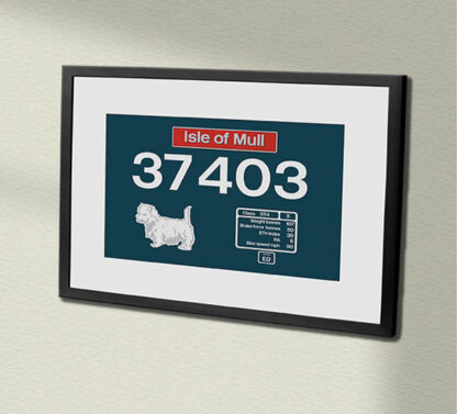 37403 Large Logo Clear with name Framed Data Panel