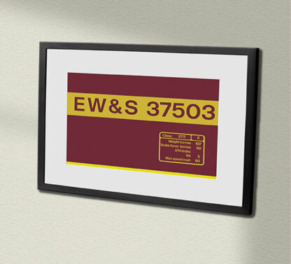 37503 EWS Original Clear Framed Data Panel