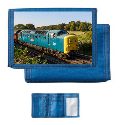 55019 at Arley Blue Nylon Wallet