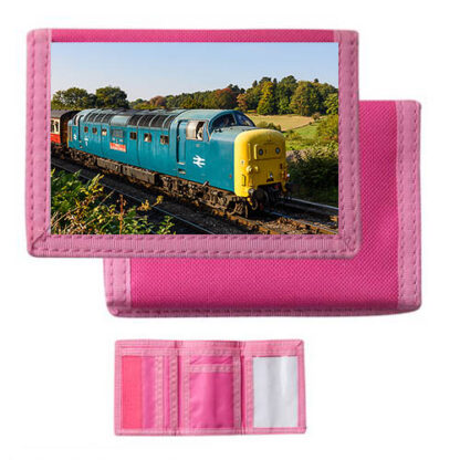 55019 at Arley Pink Nylon Wallet