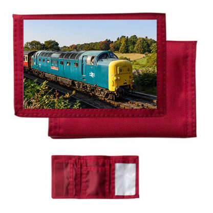 55019 at Arley Red Nylon Wallet