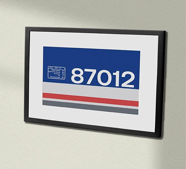 87012 NSE Revised Clear Framed Data Panel 87012 NSE Revised Clear Framed Data Panel