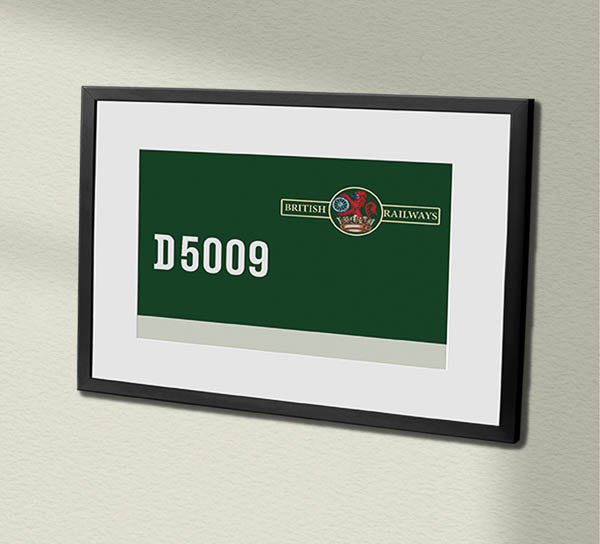 Class 24 D5009 BR Green Framed Data Panel Class 24 D5009 BR Green Framed Data Panel