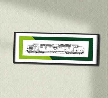 Class 55 D9015 BR Green Framed Swash