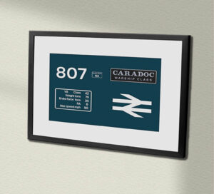 D807 BR Blue with name Framed Data Panel