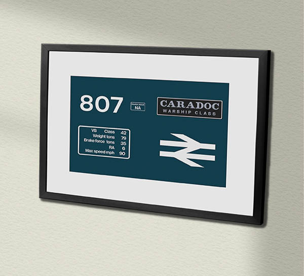 D807 BR Blue with name Framed Data Panel D807 BR Blue with name Framed Data Panel