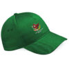green Cap 423 Clothing v10 60 green Cap 423 Clothing v10 60