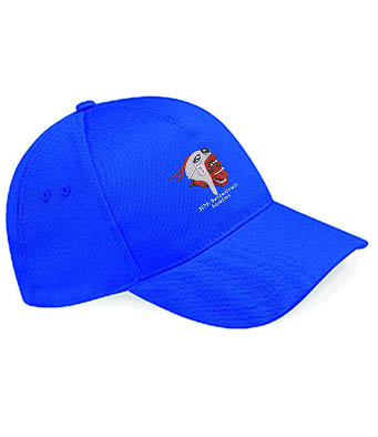 royal blue Cap 367 Clothing v8 royal blue Cap 367 Clothing v8