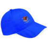 royal blue Cap 423 Clothing v10 60 royal blue Cap 423 Clothing v10 60