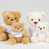Bears with Printed T-Shirt Bears with Printed T-Shirt