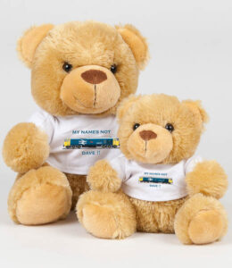 Names Not Dave Brown Bear Names Not Dave Brown Bear