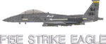 F-15E 335th TFS Coded SJ