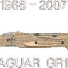 Jaguar 6 Sqn Desert Storm Jaguar 6 Sqn Desert Storm