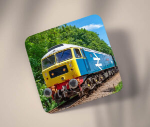 47579 in Forest Cardboard Coaster 47579 in Forest Cardboard Coaster