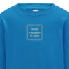 80150 Kids Sapphire Blue Sweatshirt 80150 Kids Sapphire Blue Sweatshirt