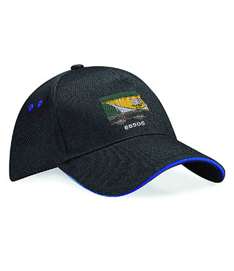 Class 66 66505 Freightliner Highlight Cap Black and Royal Blue