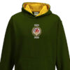 D8059 British Railways Kids Green Gold Hoodie D8059 British Railways Kids Green Gold Hoodie
