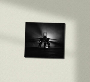 Dramatic Black and White RAF Jaguar Metal Sign Dramatic Black and White RAF Jaguar Metal Sign