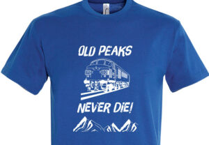 Old Peaks Royal Blue T-Shirt