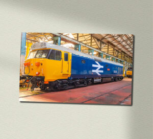 50021 and 50026 Inside Eastleigh Wall Sign 50021 and 50026 Inside Eastleigh Wall Sign
