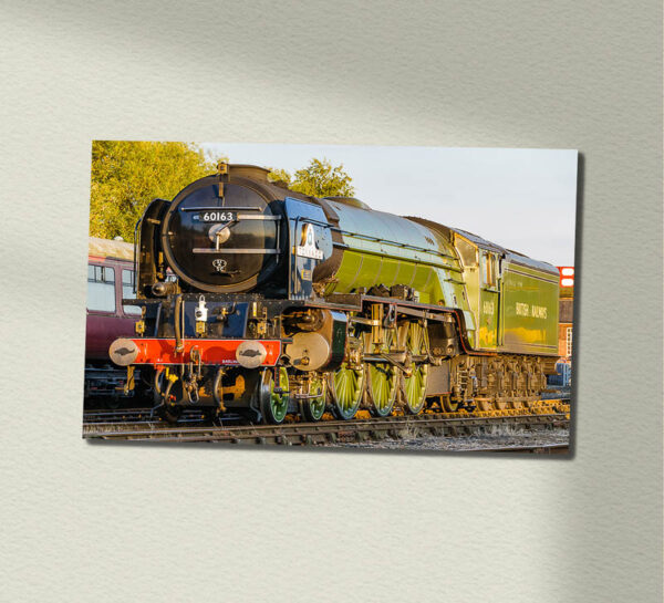 60163 A1 tornado in evening light Wall Sign