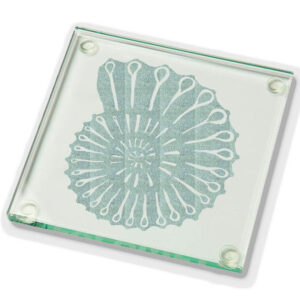 Ammonite NEW v005 Glass Coaster.jpg Ammonite Laser Cut Glass Coaster